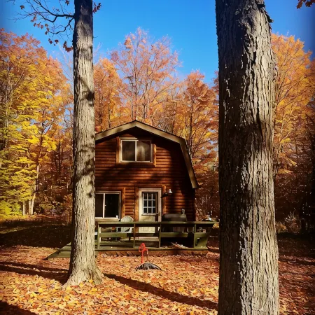 Bonfire Holler Cabin