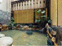 Ryokan Igaya - Varme kilder