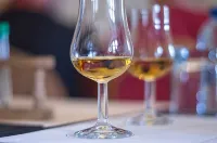 Ibis Budget Cognac - que admiten mascotas