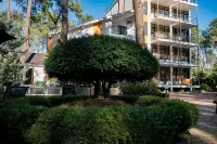 Buxus Hotel Shekvetili - 3 Sao