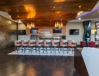 HS Hotsson Hotel Irapuato - bar