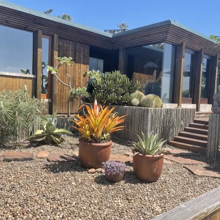 Architectural Masterpiece on Windansea Beach - Family and Pet Friendly!
