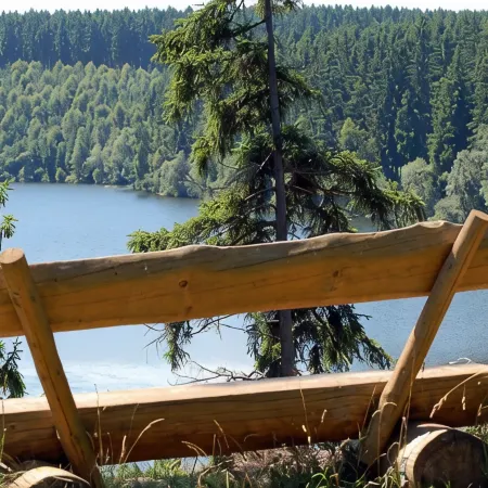 Doppelhaushälfte in Hasselfelde