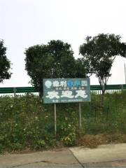 迪士尼足球公園