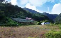 Yeongwol Donggang Castle Pension