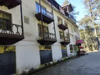 Maharaja Resorts Hotel di Patnitop