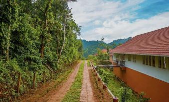 After the Rains - Rainforest Lodge