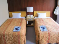 Central Hotel Toride Отели в г. Индзай