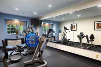 Microtel Inn & Suites by Wyndham Bath Hotels in Hammondsport