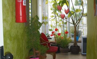 Hostal Cassa