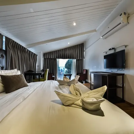 Hotel Metropolis Srinagar