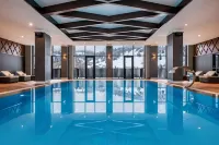 Ambassadori Goderdzi Hotel Hotels in Danisparauli