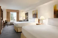 Days Inn by Wyndham Niagara Falls Centre St. by the Falls Hotels near White Water Walk