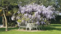 B&B le Palme