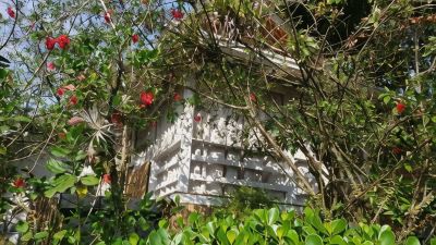 施設外観 フェリシモ エクスクルーシブ ホテルの写真