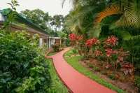 Hotel la Rosa de America Hotels near Hacienda Alsacia Starbucks Coffee Farm