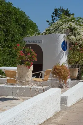 Monte Dos Avós Village - Pet Friendly - Pet friendly