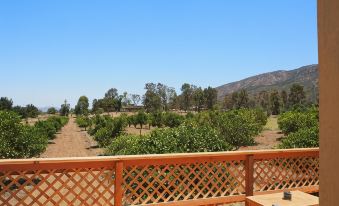 Casa Mayoral B&B Pet Friendly