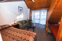 New Haven Motel Hotels in Piha