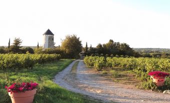 Au Moulin Géant
