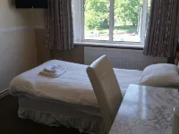 The Bridge Hotel Hotels near Abacus