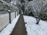 Rowan Brae Historic Guesthouse Hotels in Blackheath