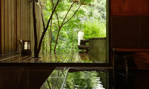 Ryokan Nushiya