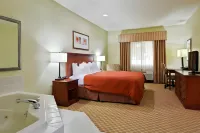 Garner Hotel DECATUR - FORSYTH by IHG Hotels in Forsyth
