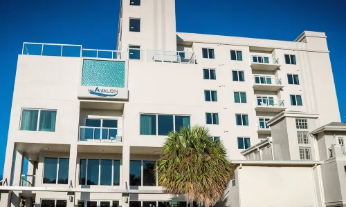 The Avalon Club