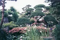 Kanazawaya Ryokan