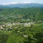 Ork Hirugano