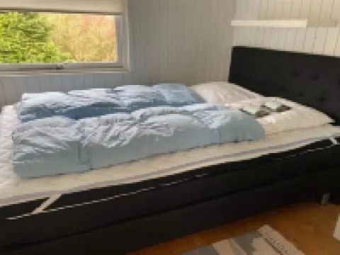 "Markvor" - 400m from the Sea