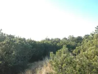 "Jon" - 400m from the Sea