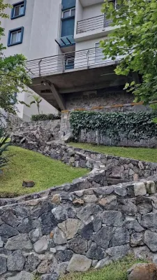 Welcome to my cozy house near downtown