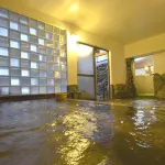 Yumura Onsen Hakuuntei Hotels in Iwami District