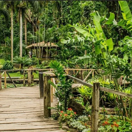 Island Accommodation Nadi