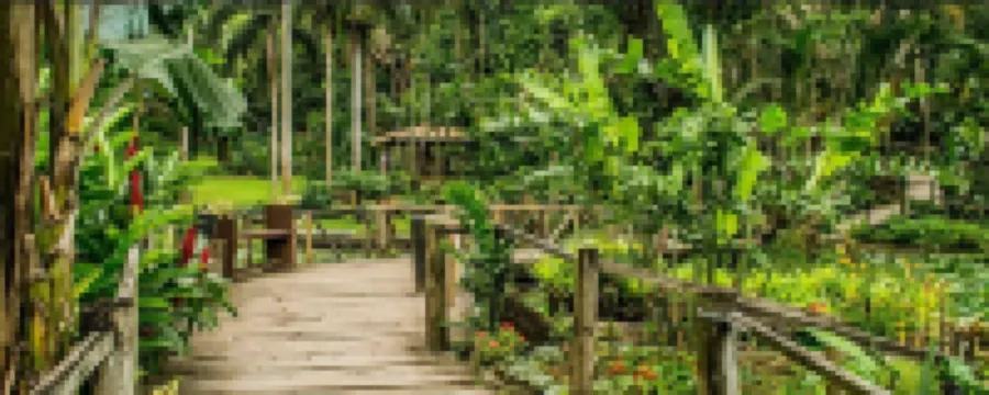 Island Accommodation Nadi