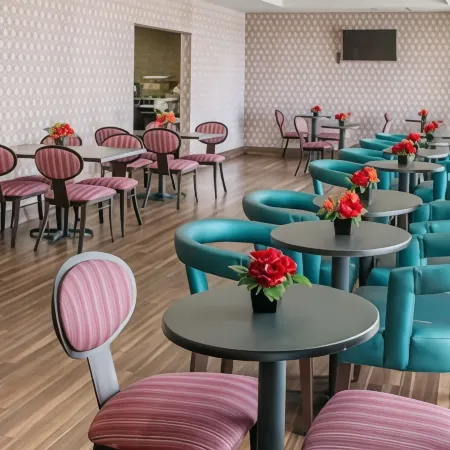 Comfort Inn & Suites San Marcos