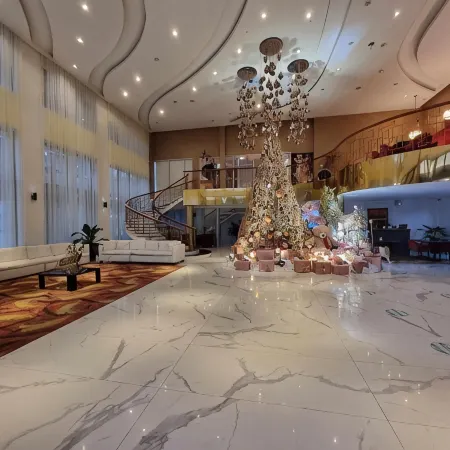 THE HOTEL SOPHIA INC