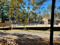 Spacious 5-bedroom house in enchanting Wisconsin Dells with AC, WiFi - 4성급