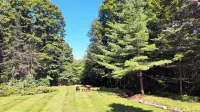Cozy chalet minutes from Okemo Mtn & VAST - Alphydda