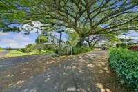 Full Ocean View, Great For Whale Watching - Wifi