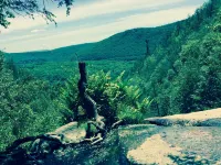 Cabin In the Trees In historic Jim Thorpe, on the side of Flagstaff Mountain - 3-Star