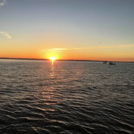 Charming 2-bedroom fishing cabin located near Lake Sam Rayburn