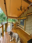 Experience nature, right by Hillsville, Va. a few ft from a stocked creek. - Homestays
