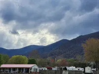 Maggie Valley Creekside Retreat! - 2 stjerner