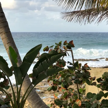 St.Croix, USVI- Cane Bay Beach -direct waterfront Cottage!