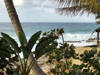 St.Croix, USVI- Cane Bay Beach -direct waterfront Cottage! - Beach