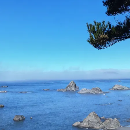 Sparkling Clean, Private & Quiet! Amazing Ocean Views [3]