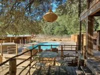 Unique Cabin